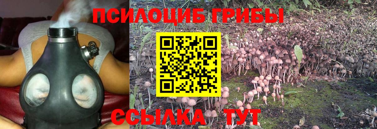 Грязи  Галлюциногенные грибы Psilocybe  Вход с VPN 