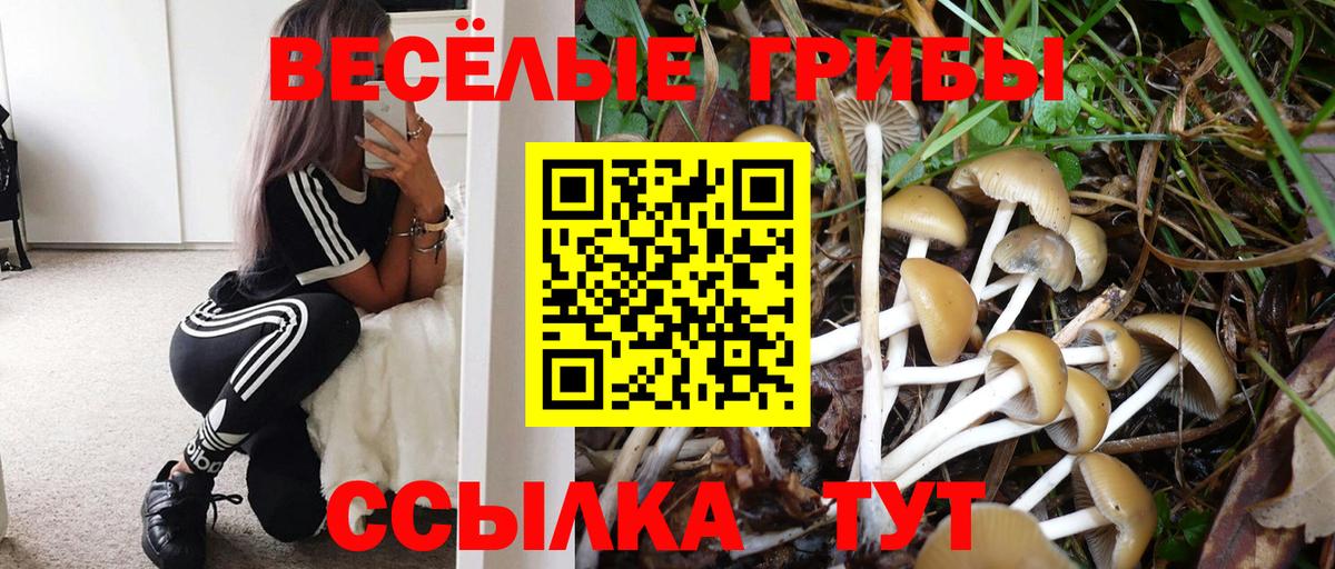 Галлюциногенные грибы GOLDEN TEACHER Грязи